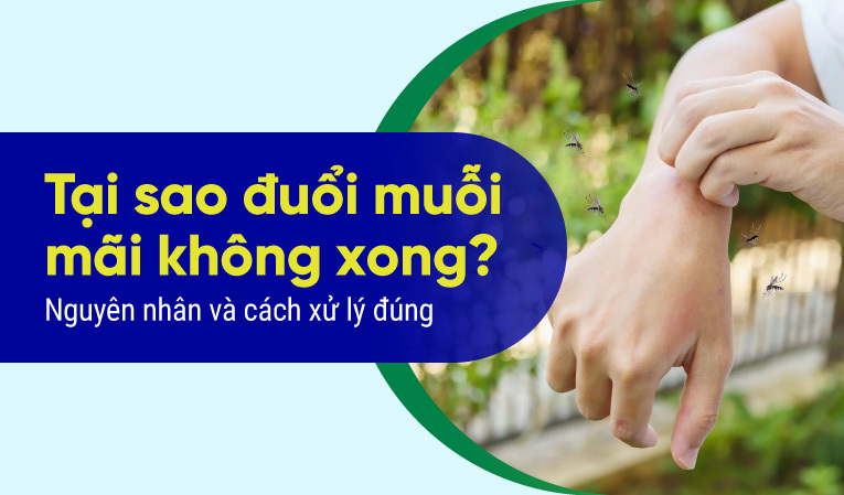 Tại sao đuổi muỗi mãi không xong? Nguyên nhân và cách xử lý đúng