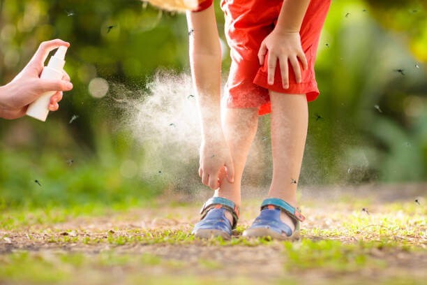 Tại sao đuổi muỗi mãi không xong? Nguyên nhân và cách xử lý đúng