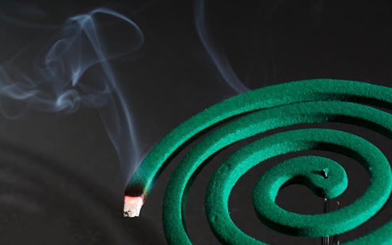 Tại sao đuổi muỗi mãi không xong? Nguyên nhân và cách xử lý đúng