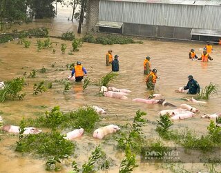 Bão số 10 (bão BUALOI) và mưa lũ sau bão làm 53 người chết và mất tích, 139 người bị thương, thiệt hại hàng nghìn tỷ
