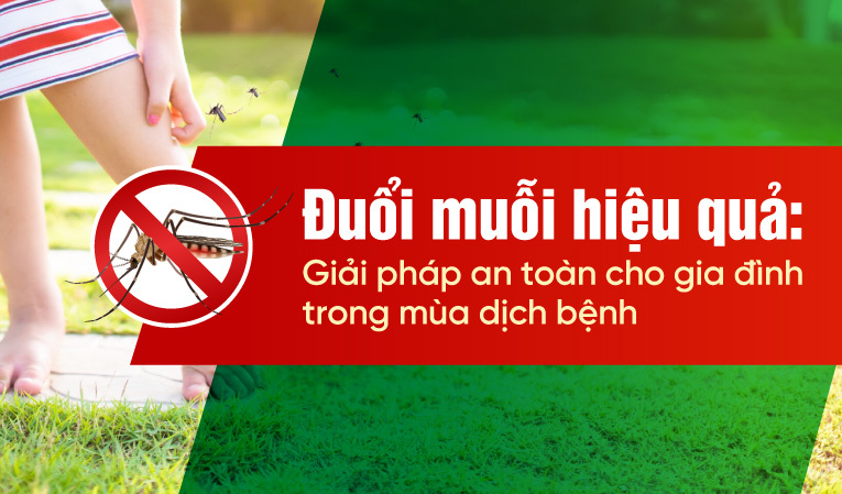Đuổi muỗi hiệu quả Giải pháp an toàn cho gia đình trong mùa dịch bệnh