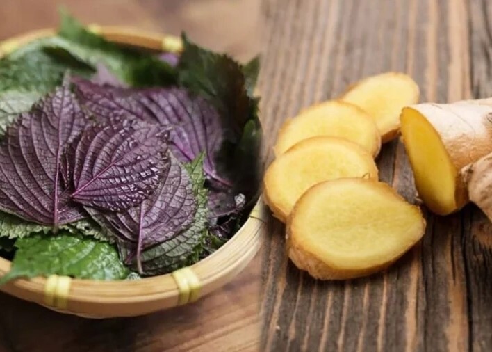 Thảo dược giải cảm cúm: Hiệu quả bất ngờ từ gừng, tía tô