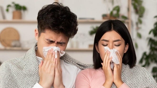 Thảo dược giải cảm cúm: Hiệu quả bất ngờ từ gừng, tía tô