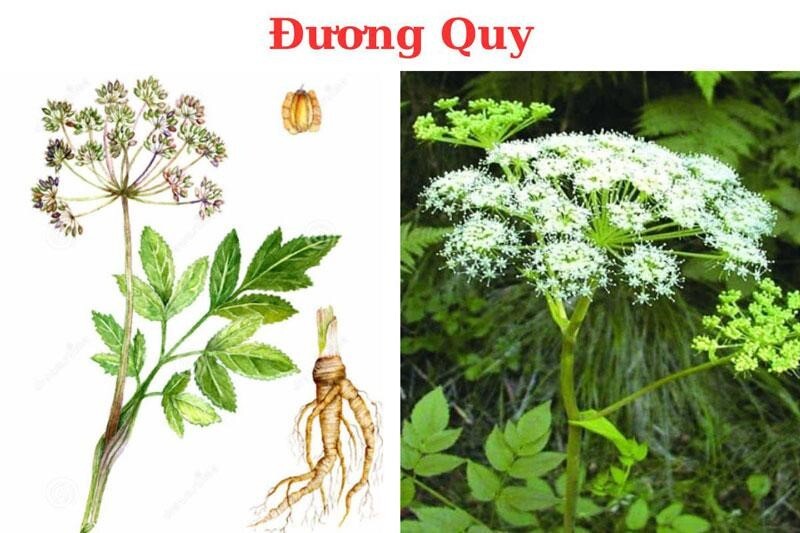 Cách giảm stress hiệu quả giúp ngăn ngừa nguy cơ thiếu máu não