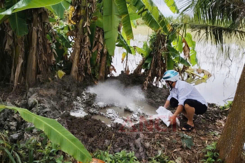 Phát hiện và tiêu hủy hơn 840kg thịt nhiễm dịch tả lợn Châu Phi
