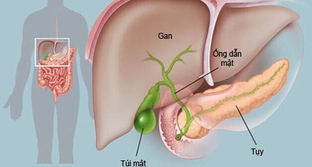 Bước tiến giúp bệnh nhân gan - mật - tụy rút ngắn hành trình điều trị