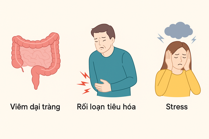 Đi ngoài nhiều lần trong ngày ở người lớn – Khi nào cần đi khám?