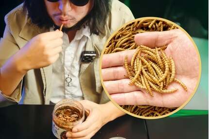 Giới trẻ Trung Quốc ăn sâu thay thịt, tắm nước lạnh, ngủ dưới sàn để... tiết kiệm