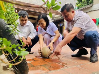 Hà Nội tăng mạnh ca sốt xuất huyết, nhiều ổ dịch ở ngưỡng nguy cơ cao