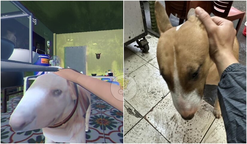 Quán phở anh Hai và Cậu vàng - Mr Gold gây sốt mạng xã hội