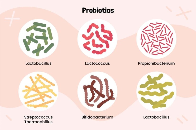 Đau bụng tiêu chảy: Nguyên nhân và cách điều trị hiệu quả