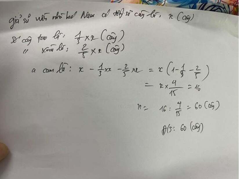 Bài toán lớp 5 khiến cô giáo và bố của học sinh "tranh luận đến cùng", ai cũng bật cười