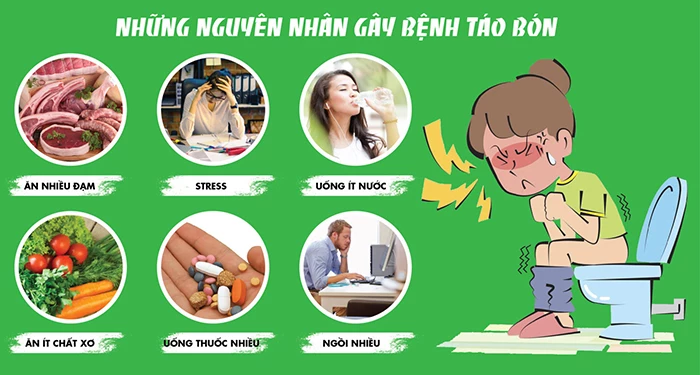 Táo bón uống thuốc gì? Giải pháp an toàn cho người lớn bị táo bón