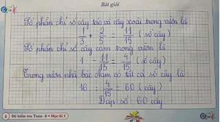Bài toán lớp 5 khiến cô giáo và bố của học sinh 