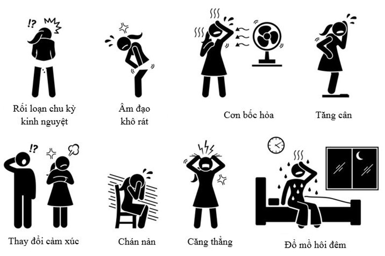 Tiền mãn kinh – Khi cơ thể chuyển mình và hành trình lấy lại cân bằng