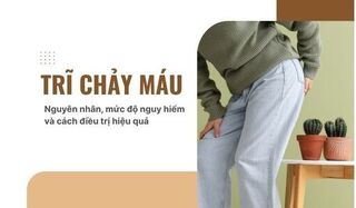 Trĩ chảy máu: Nguyên nhân, mức độ nguy hiểm và cách điều trị hiệu quả