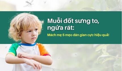 Muỗi đốt sưng to, ngứa rát: Mách mẹ 5 mẹo dân gian cực hiệu quả!