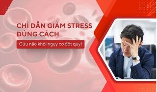 Chỉ dẫn giảm stress đúng cách – Cứu não khỏi nguy cơ đột quỵ!
