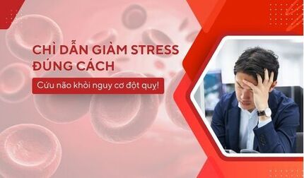 Chỉ dẫn giảm stress đúng cách – Cứu não khỏi nguy cơ đột quỵ!