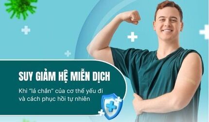 Suy giảm hệ miễn dịch – Khi “lá chắn” của cơ thể yếu đi