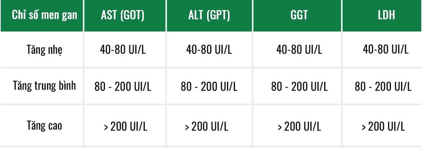 Men gan cao kiêng gì để hỗ trợ phục hồi chức năng gan?