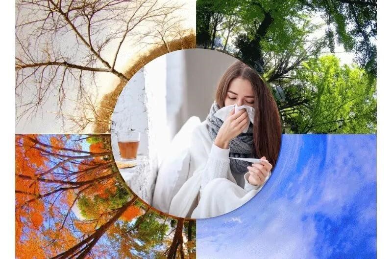 Đau rát họng khi giao mùa: Chăm sóc đúng cách để giữ giọng khỏe