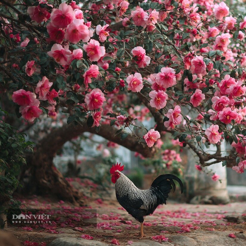 Tử vi ngày mai: 3 con giáp có thu hoạch kép trong tháng 11, tiền dễ kiếm, sự nghiệp suôn sẻ