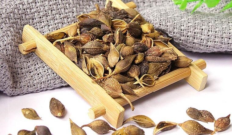 Tiêu viêm với thuốc xoang thảo dược – Hướng điều trị viêm xoang