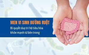 Men vi sinh đường ruột – Bí quyết duy trì hệ tiêu hóa khỏe mạnh