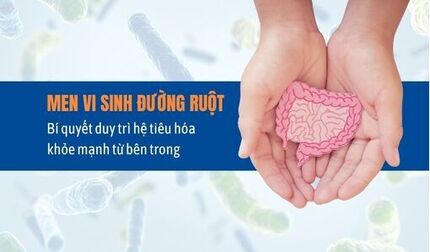 Men vi sinh đường ruột – Bí quyết duy trì hệ tiêu hóa khỏe mạnh