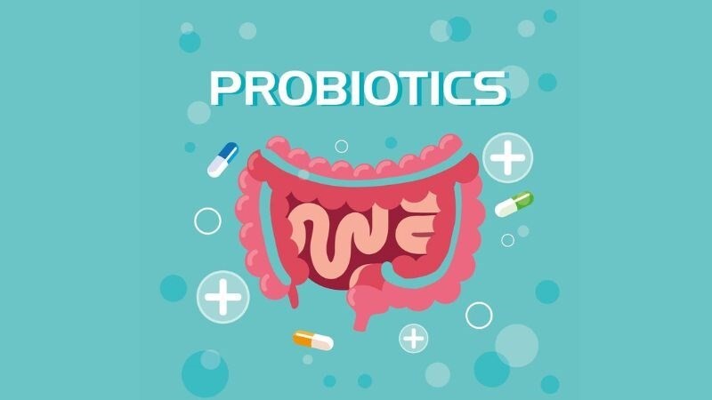 Men vi sinh đường ruột – Bí quyết duy trì hệ tiêu hóa khỏe mạnh