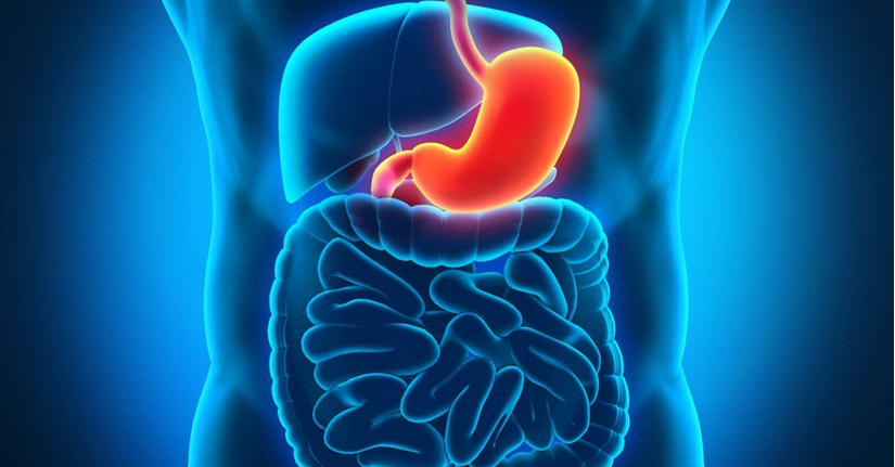 Viêm loét dạ dày là gì? Từ những cơn đau âm ỉ đến lời cảnh báo