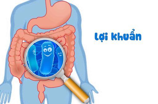 Làm sao để ăn ngon miệng hơn? Giải pháp giúp bạn thèm ăn trở lại