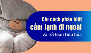 Chỉ cách phân biệt cảm lạnh đi ngoài và rối loạn tiêu hóa