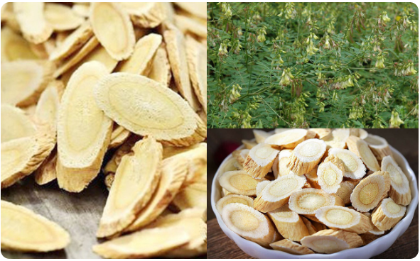 Đừng chủ quan khi hậu môn bị sưng phồng và đau rát liên tục