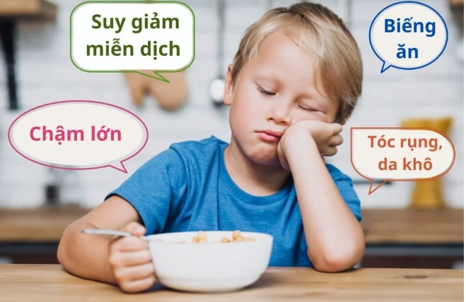 Top thực phẩm giàu kẽm tự nhiên nên có trong thực đơn