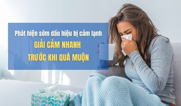 Phát hiện sớm dấu hiệu bị cảm lạnh Giải cảm nhanh trước khi quá muộn