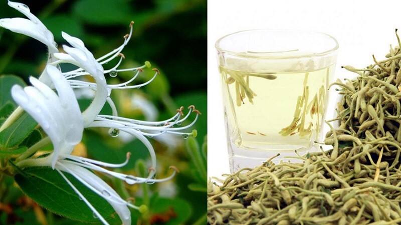 Làm thế nào để giảm viêm mũi dị ứng mà không phụ thuộc thuốc tây?