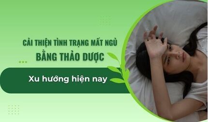 Cải thiện tình trạng mất ngủ bằng thảo dược: Xu hướng hiện nay
