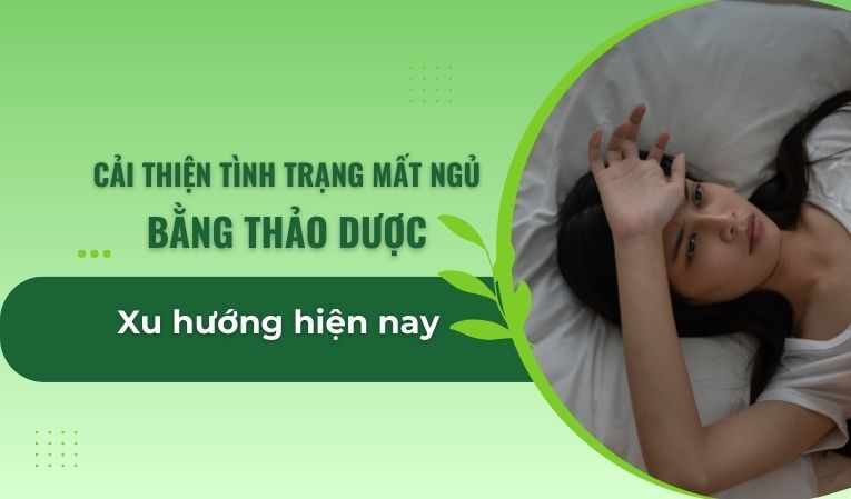 Cải thiện tình trạng mất ngủ bằng thảo dược: Xu hướng hiện nay
