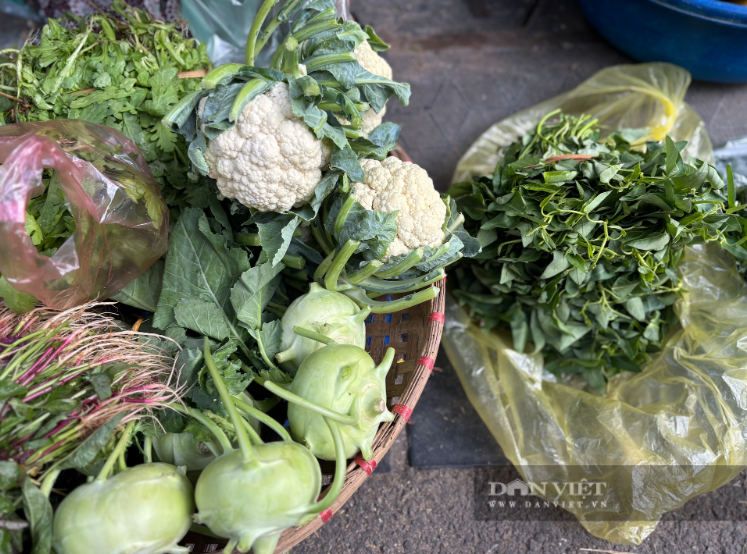 Hà Nội: Rau tăng giá phi mã, nhiều gia đình “xin viện trợ” từ người thân ở quê