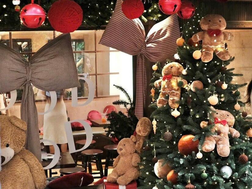 Tranh thủ thời tiết lý tưởng, giới trẻ Hà Nội xúng xính lên đồ "săn" ảnh Giáng sinh sớm