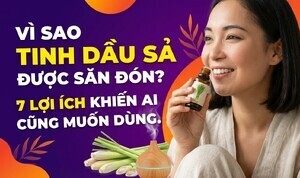 Vì sao tinh dầu sả được săn đón? 7 lợi ích khiến ai cũng muốn dùng