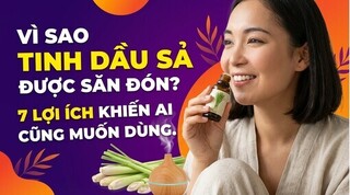 Vì sao tinh dầu sả được săn đón? 7 lợi ích khiến ai cũng muốn dùng
