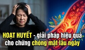 Hoạt huyết - giải pháp hiệu quả cho chứng chóng mặt lâu ngày