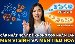 Cập nhật ngay để không còn nhầm lẫn men vi sinh và men tiêu hóa