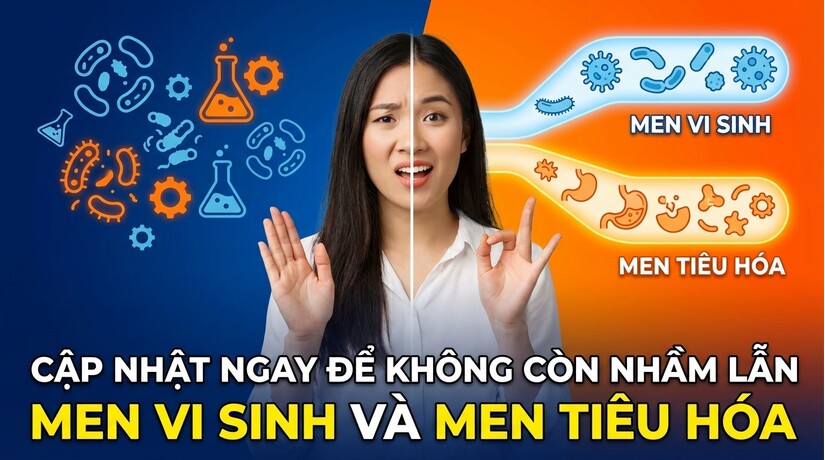 Cập nhật ngay để không còn nhầm lẫn men vi sinh và men tiêu hóa