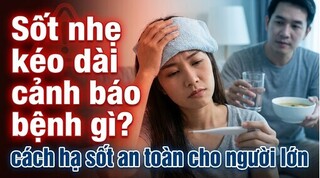 Sốt nhẹ kéo dài cảnh báo bệnh gì? cách hạ sốt an toàn cho người lớn