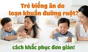 Trẻ biếng ăn do loạn khuẩn đường ruột? Cách khắc phục đơn giản!