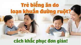 Trẻ biếng ăn do loạn khuẩn đường ruột? Cách khắc phục đơn giản!